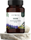 MSM Kapseln